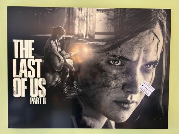 Cadre Mural en Aluminium HD - The Last Of US 2
