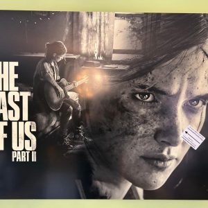 PRECO - Cadre Mural en Aluminum HD - The Last Of US - Partie 2